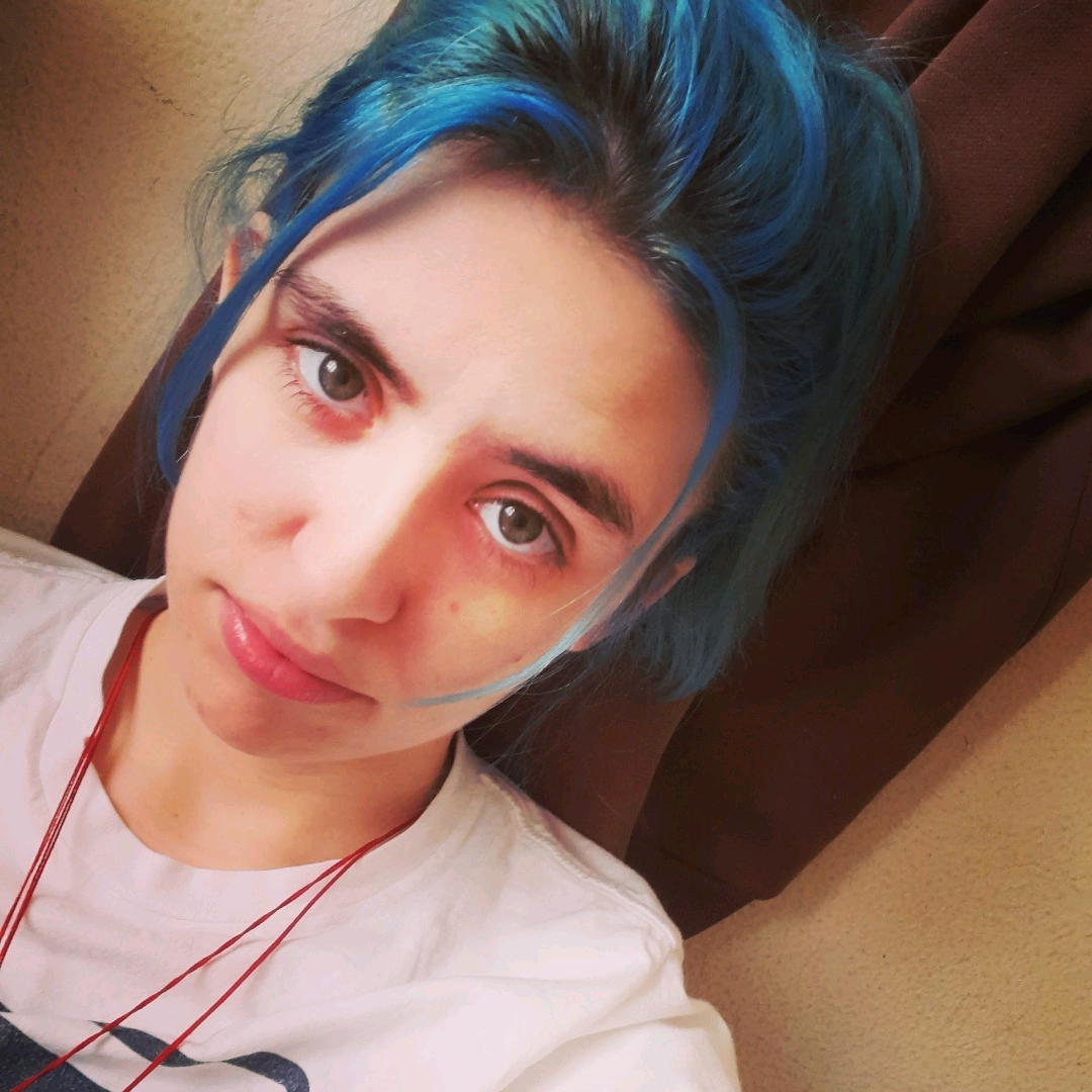 vlogzarick
