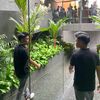 amrenald