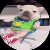 santibebe1203