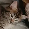 dykat7zbn45q