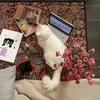 bj_06