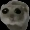 uilub_alfo