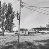 raspizd9ii_do_kostey