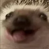 zgred_enjoyer