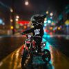 raider_1227