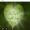 nahed.nahoud
