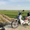 dr_prawira