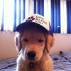 user9263920181