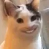 phucnek120