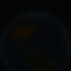alexa._5_