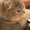 user_aaaaaa8aa
