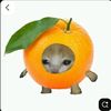 mandarina_102