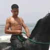 hassan_horse_trainer
