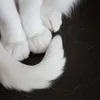 8cli1s