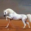 souud9.o.a