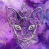 xcatsandcraftsx
