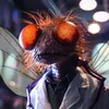 jeffersilvaamorim