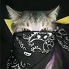 usernime123212