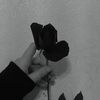 aaaiihrdnty_