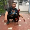 cuong.135