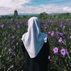 cikkirdina