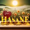 hanane11_1_1