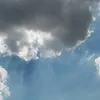 mamuepolpettina
