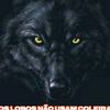 loba.alpha.black