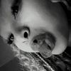 mashiyamahleee_