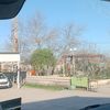 kuscu051