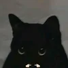 blacksabroso