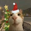 xliljimmy
