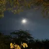 184l