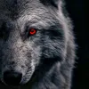 wolf_of_lilith