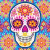 doodleskull