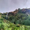 naimaouzali