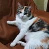 catsmendoza4