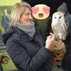 einfach_nur_anke