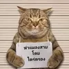 kwai__kwai_full