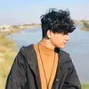 qi__g55