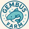 gembus.farm