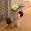 edu_vr08