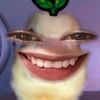 jiaaaant_