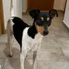 frxnciscoyw