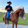 gallodeguanajuato3