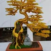 la_trung5806