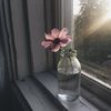 strawberrypie_r