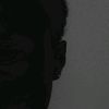 fvshawn_