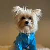 lillothemaltipom