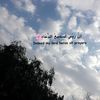 noura19873
